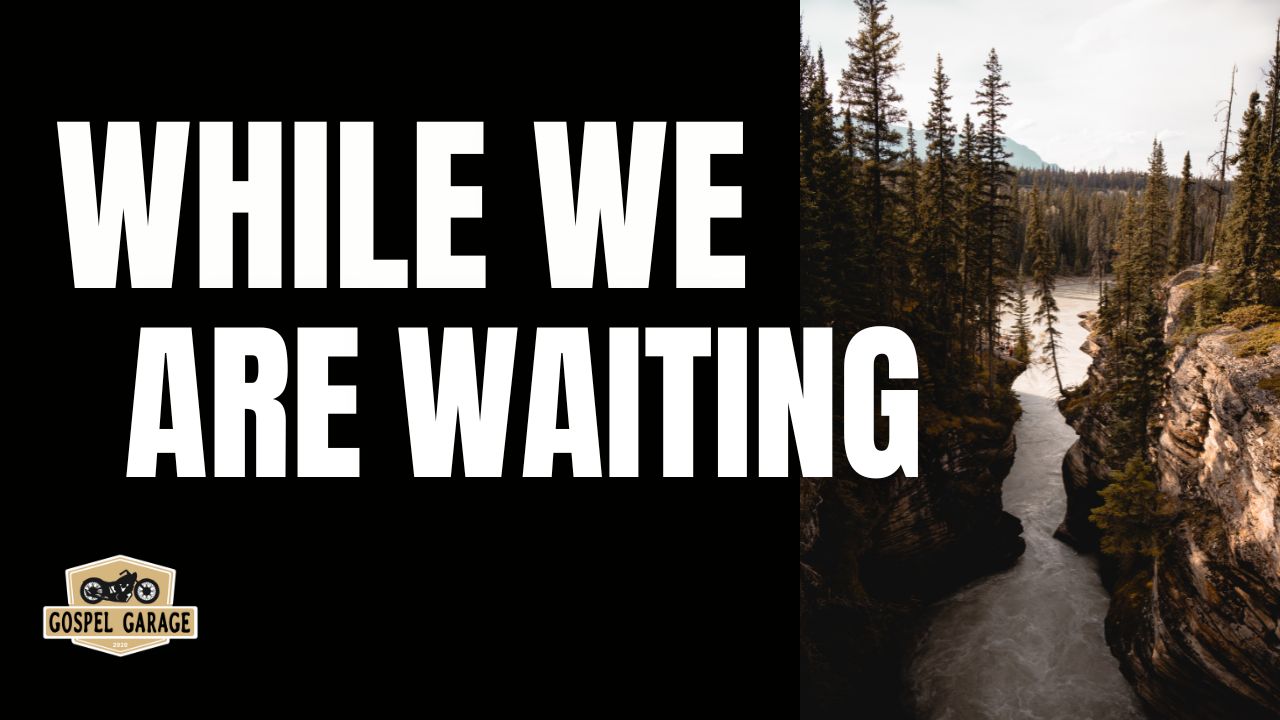 While We Are Waiting  thumb