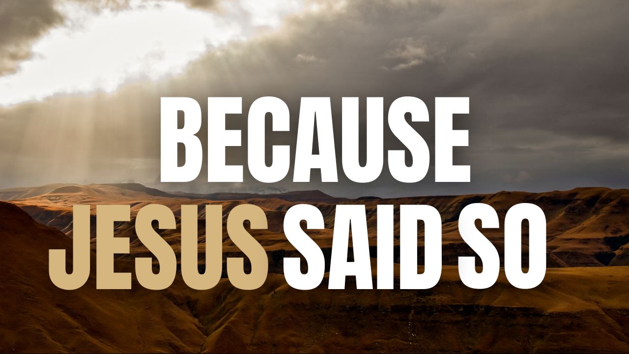 Because Jesus Said So thumb