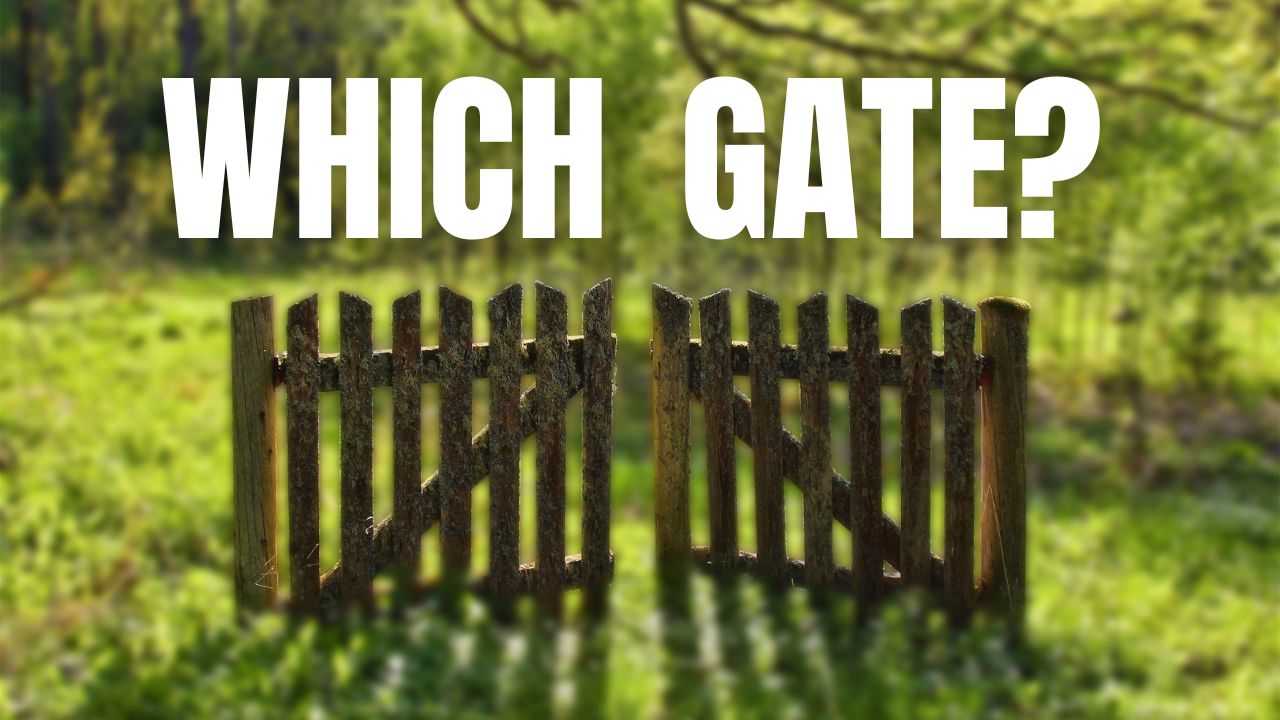 Which Gate thumb